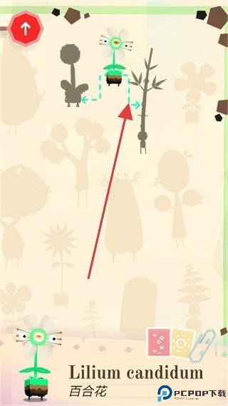 托卡实验室植物