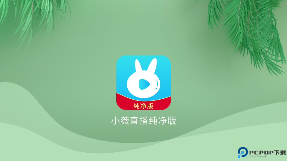 小薇直播纯净版最新版