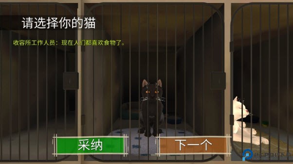 顽皮猫生活模拟