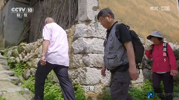 白菜直播最新版