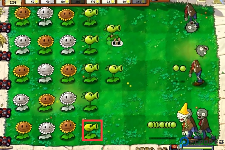 植物大战僵尸威化版手机版