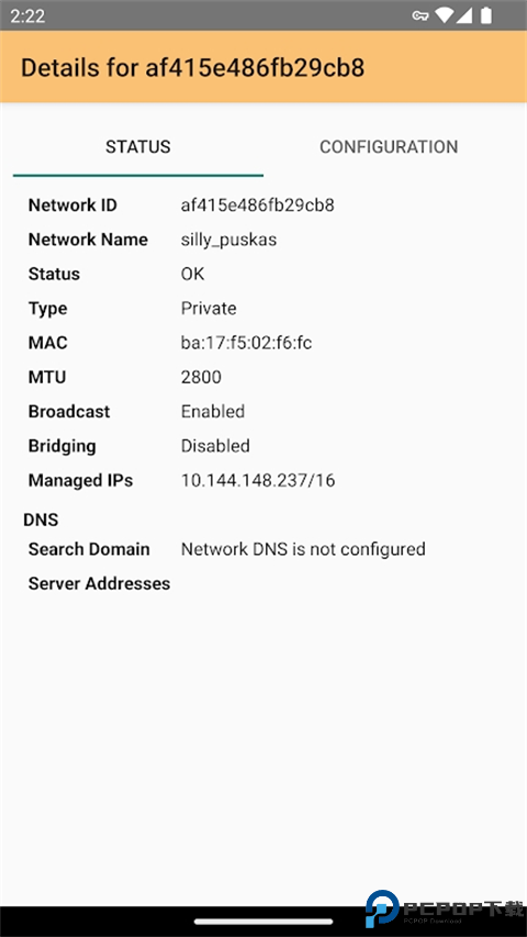 Zerotier One最新版