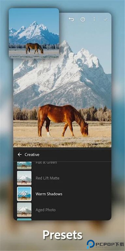 lightroom手机安卓版最新版