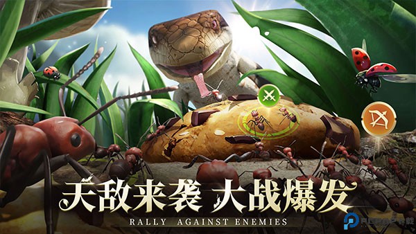 小小蚁国国际服免费下载