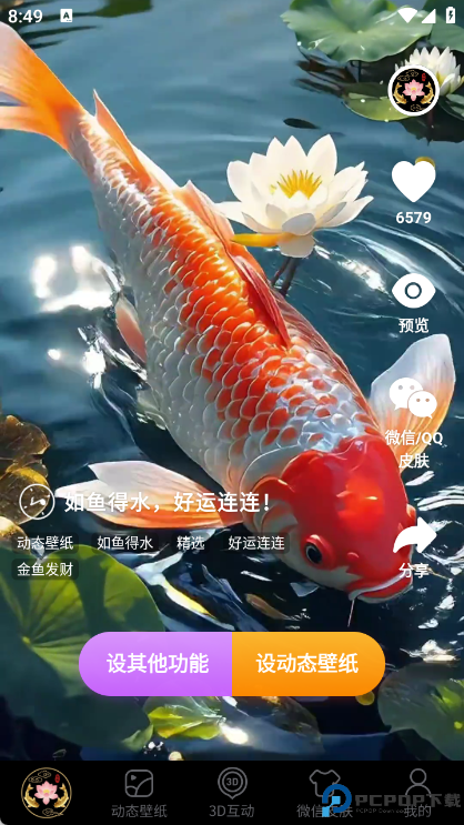 荷花锦鲤壁纸手机版