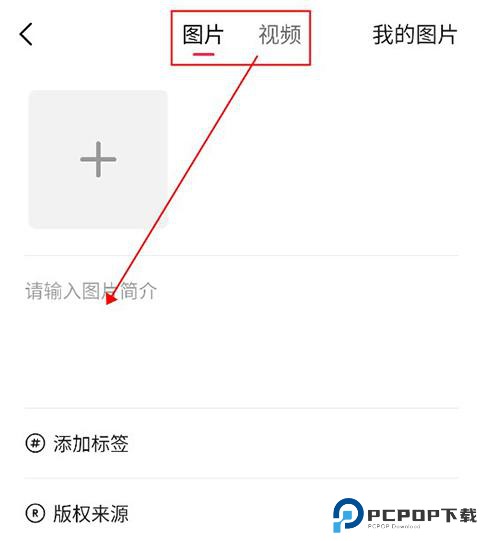 汽水壁纸免费版