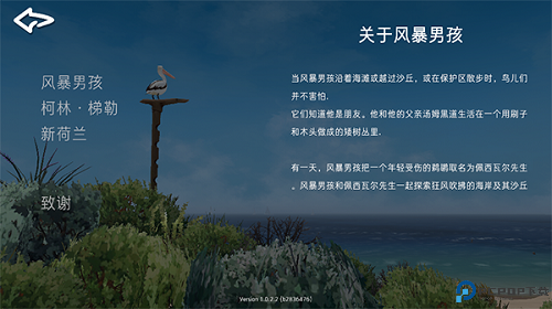 男孩与鹈鹕汉化版