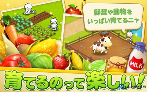 星星岛猫咪免费下载