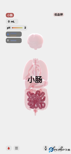 生命人体模拟器life汉化版免费下载