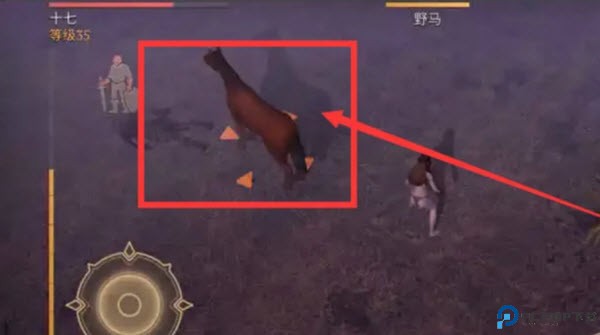 冷酷灵魂黑暗幻想生存