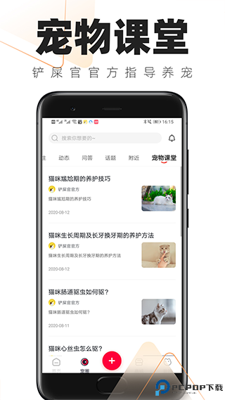 铲屎官的日常最新版