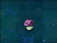 植物大战僵尸Hd版攻略