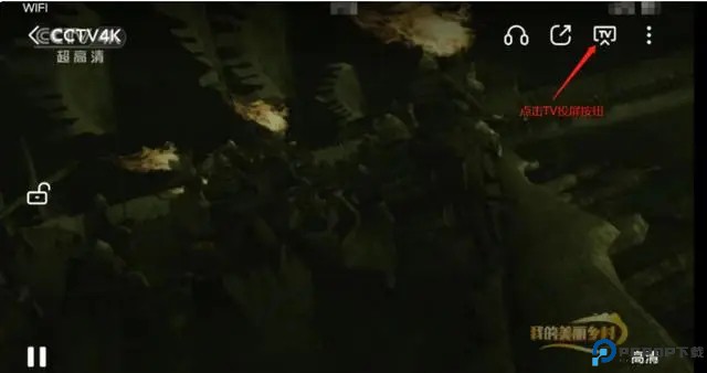 紫电视频免费追剧