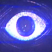 波比的游戏时间第五章自制版手游最新版