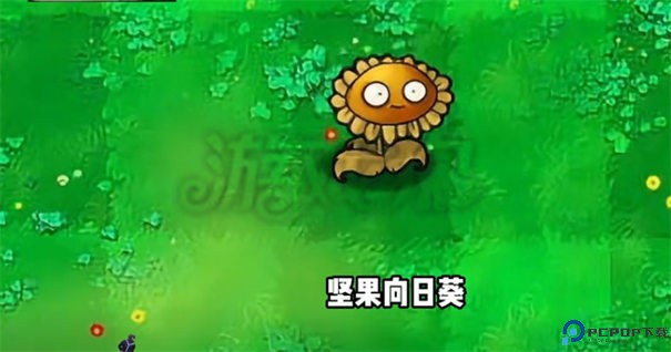 植物大战僵尸杂交版3.1