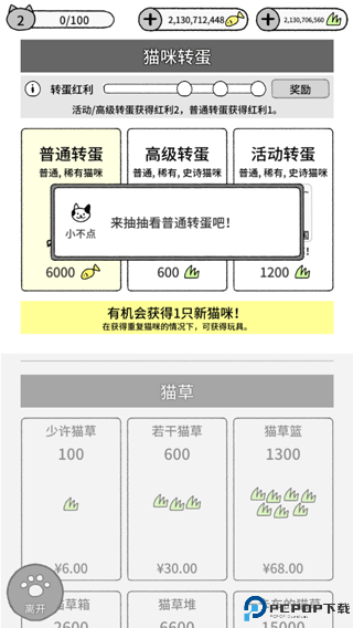 猫咪真的很可爱