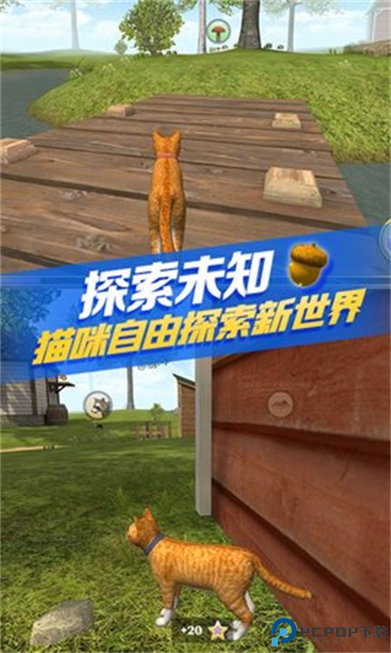 猫咪生存模拟器安卓版免费下载