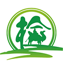 丝路车检最新版