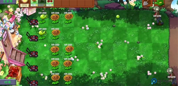 植物大战僵尸共生版