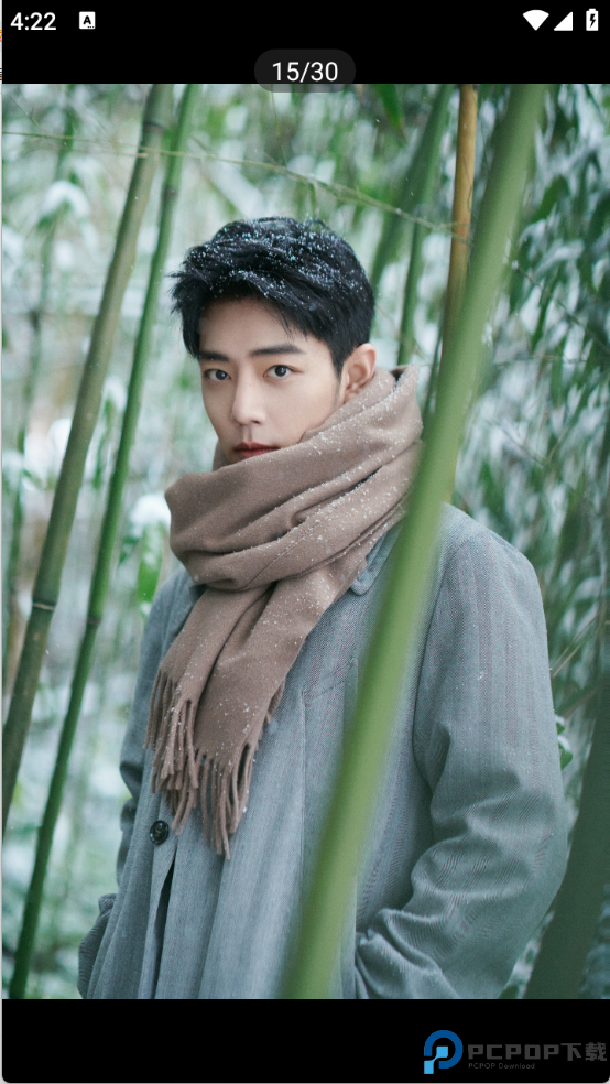 波奇壁纸免费下载