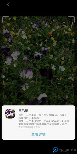 Jovi语音助手最新版