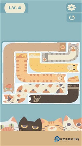 管道猫咪中文版