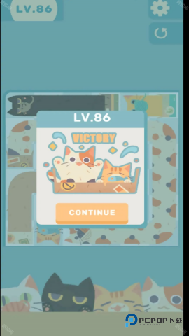 管道猫咪中文版