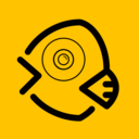 鱼丸水印相机手机版v1.2.1