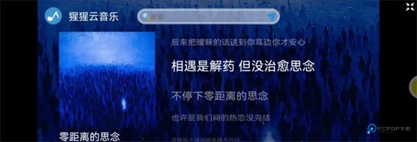 大猩猩音乐旧版本