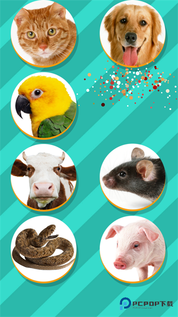 pettranslator官方正版v1.1