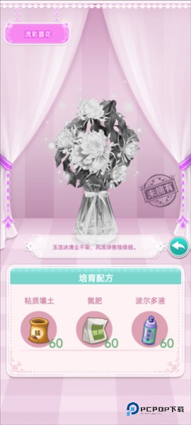 鲜花小镇官方正版