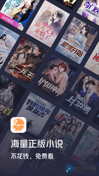 青橙小说宣传图