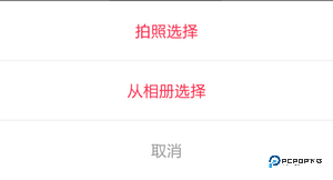 逗拍2025官方正版