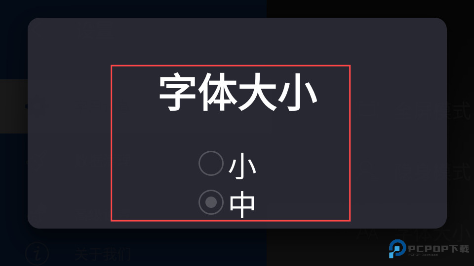 白夜浏览器电视版怎样用4