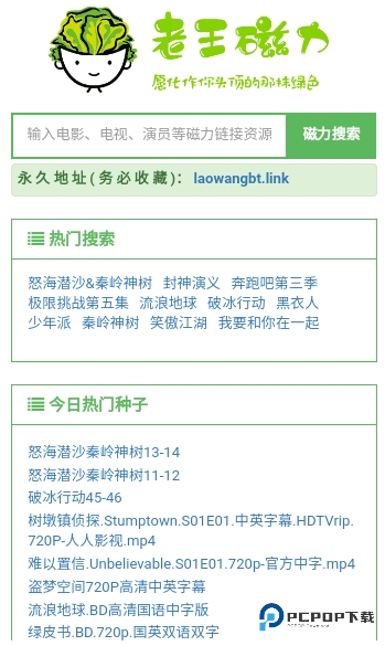 老王磁力专业版