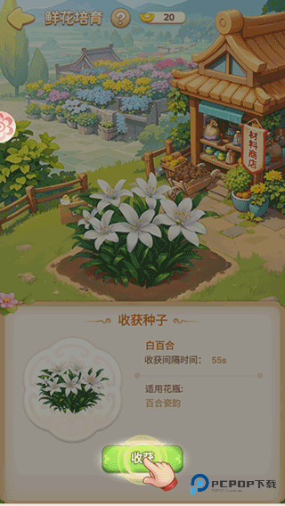 我的花园世界完整版