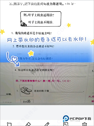 蜜蜂试卷官方正版