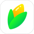 玉米相册正式版v1.5.0