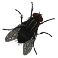 湖边之家恐怖任务安卓安装包下载v25