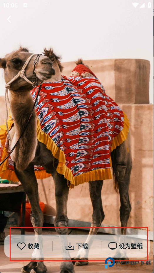 跃动壁纸手机版使用方法5