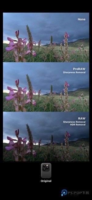 dazz相机滤镜官方正版下载v1.0.51