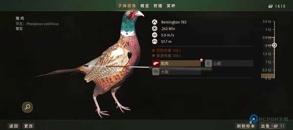 狩猎之道兼容版