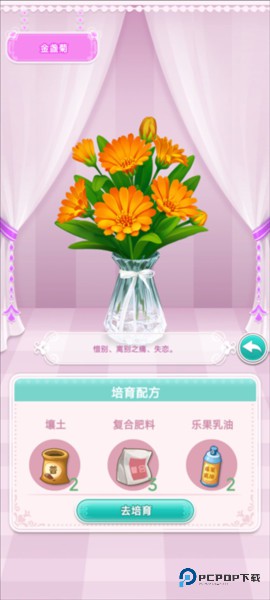 鲜花小镇官方正版