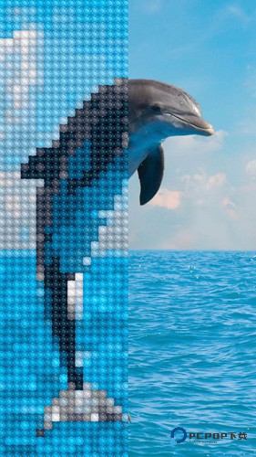 十字绣官方正版v2.11.9