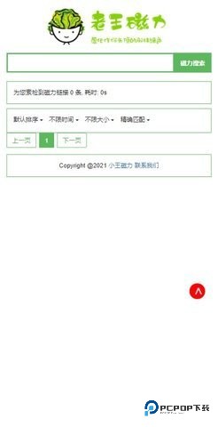 老王磁力专业版