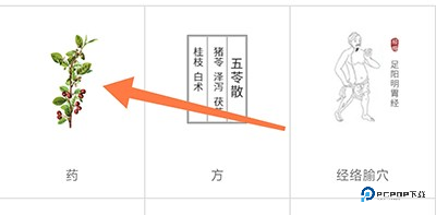 扁鹊中医手机版