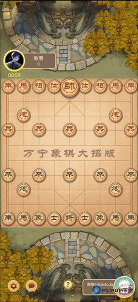 万宁象棋大招版游戏图片17