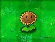 植物大战僵尸随机版