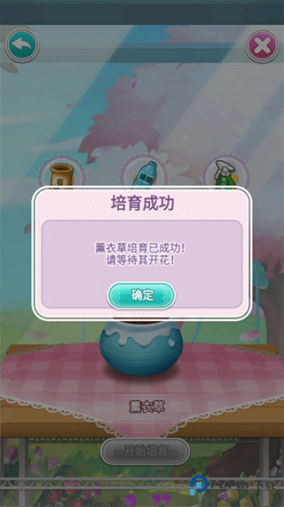 鲜花小镇官方正版