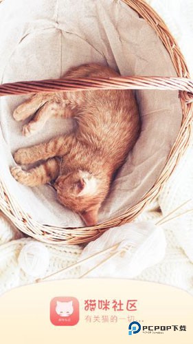 猫咪社区正版v6.0.0